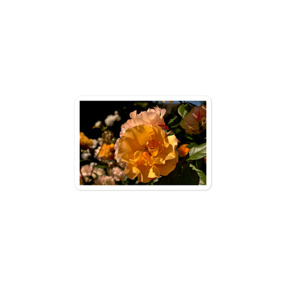A small rectangular vinyl sticker with an image of pastel pink and yellow roses in garden.