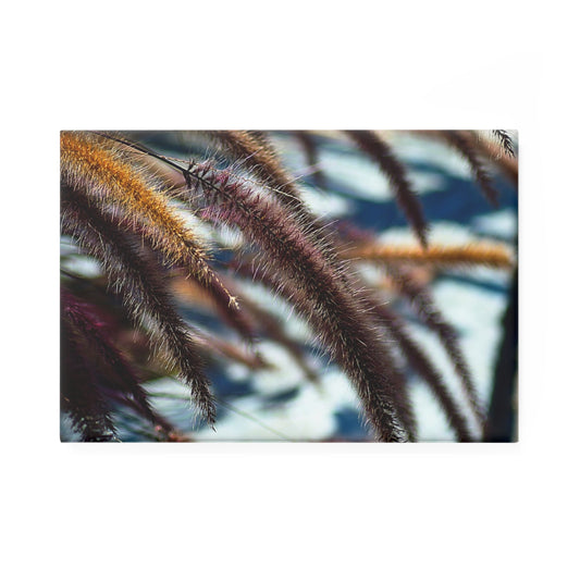 A rectangular button magnet with an image of golden and purple foxtails against a blurred gray background.