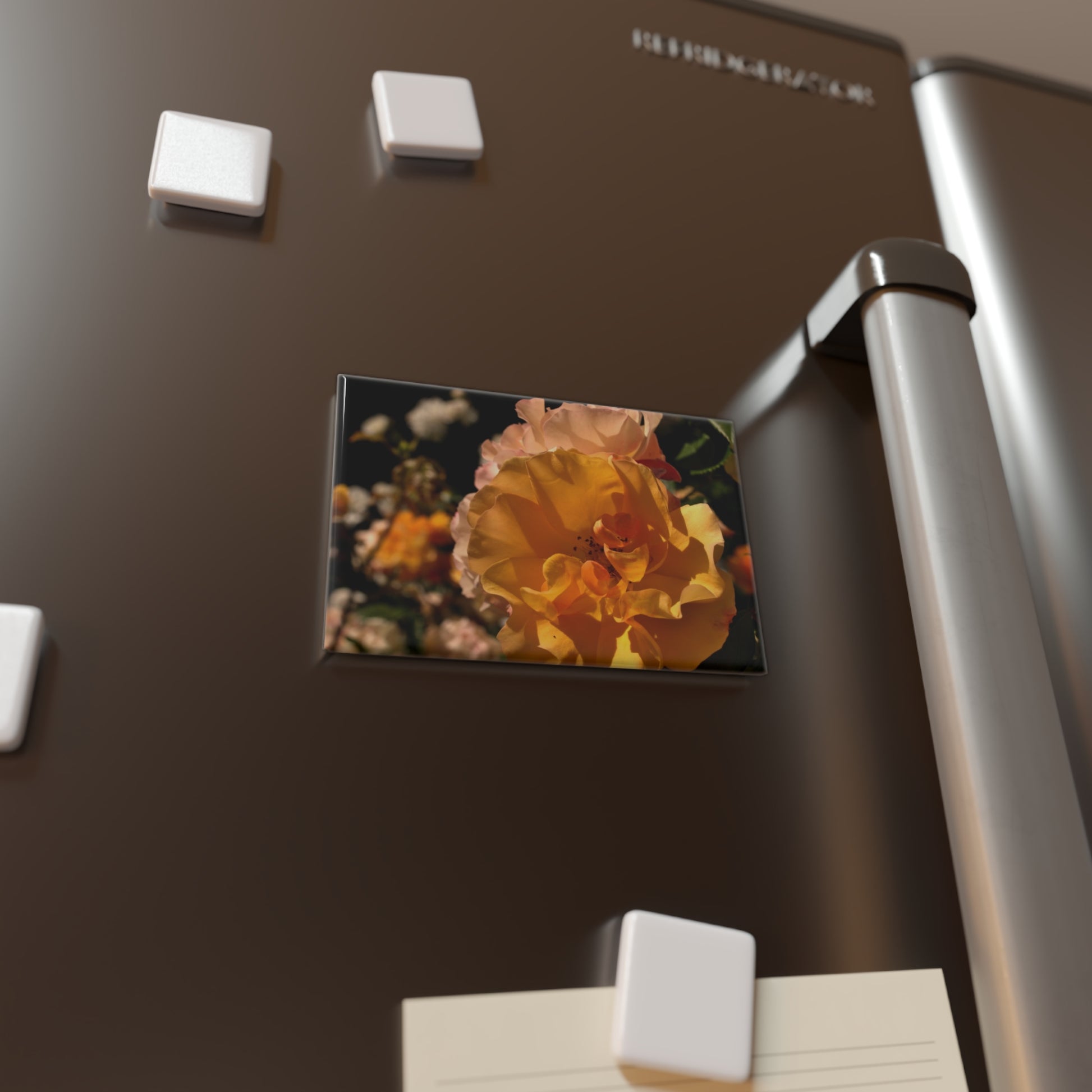 Lifestyle photo of a rectangular button magnet with an image of a golden yellow and pastel pink rose cluster, placed on a fridge.