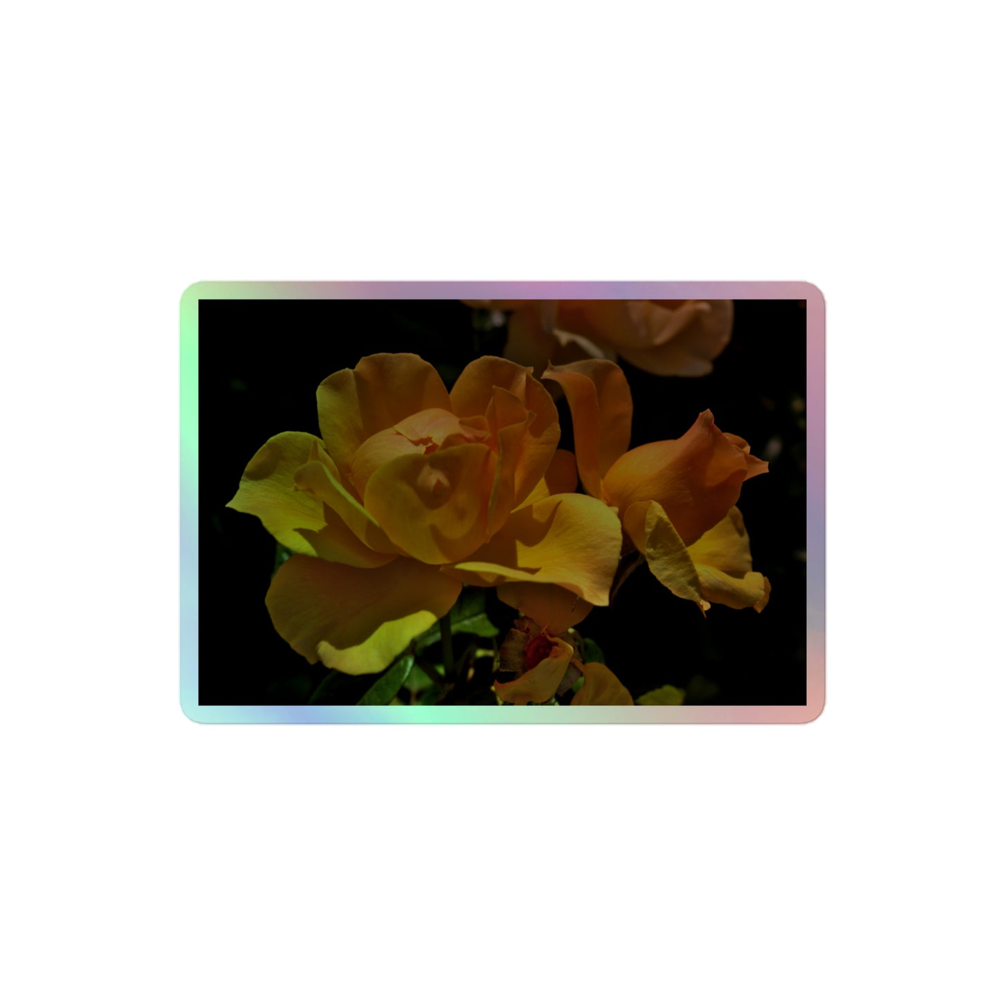 A medium rectangular holographic sticker with a high-contrast image of vivid yellow roses against a dark background.
