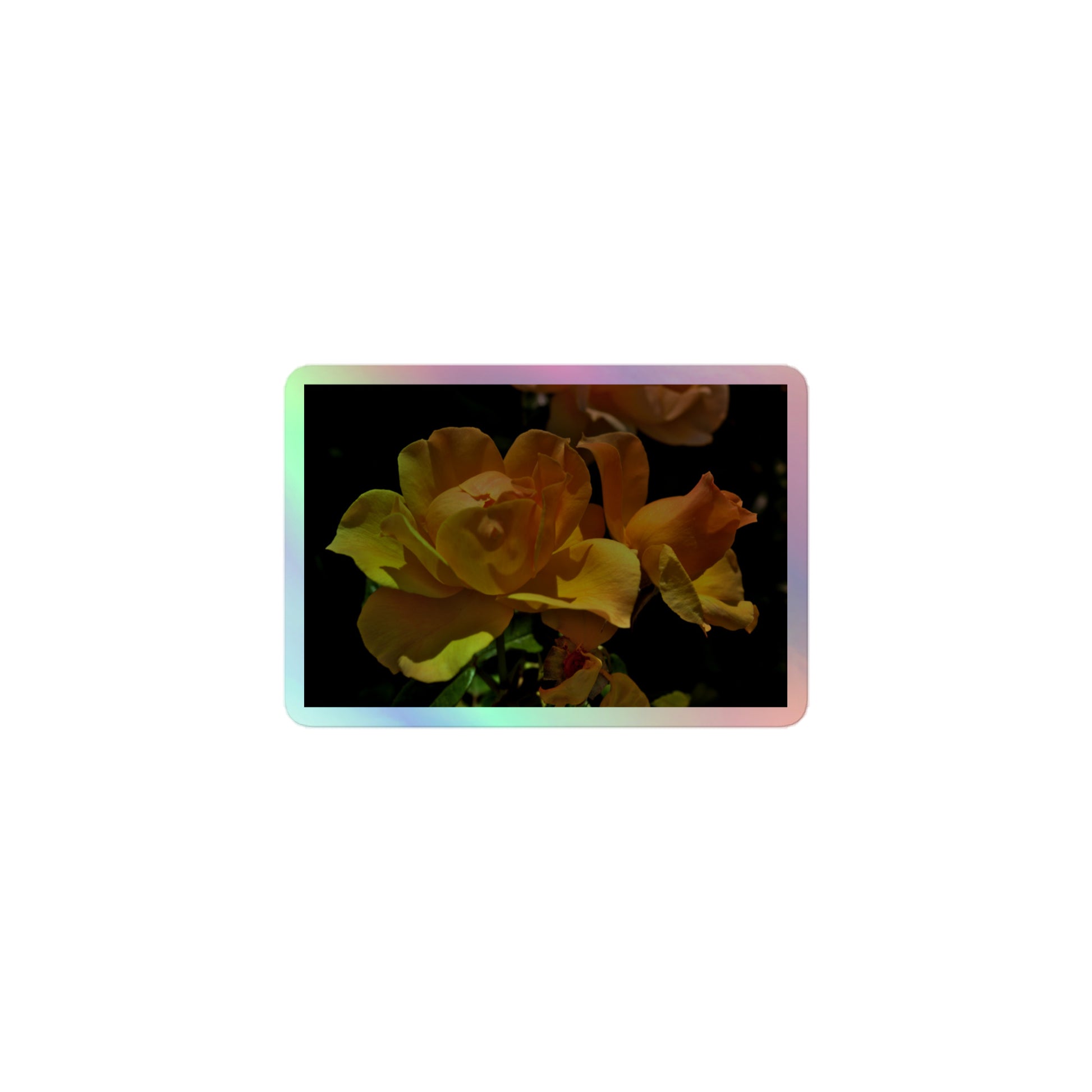 A small rectangular holographic sticker with a high-contrast image of vivid yellow roses against a dark background.