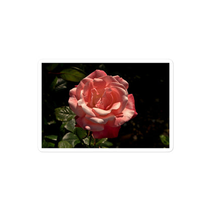 A medium rectangular vinyl sticker with a high contrast image of a light pink rose bloom with dark green leaves.