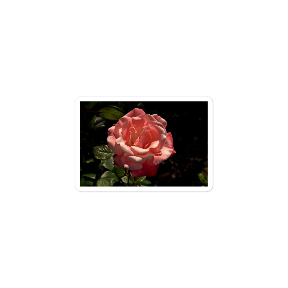 A small rectangular vinyl sticker with a high contrast image of a light pink rose bloom with dark green leaves.