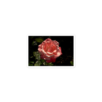 A small rectangular vinyl sticker with a high contrast image of a light pink rose bloom with dark green leaves.
