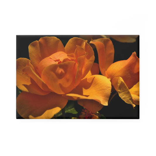 A rectangular button magnet featuring a close-up image of a bold yellow rose.