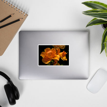 Lifestyle photo of a rectangular vinyl sticker with a high-contrast image of vivid orange roses against a dark background, placed on the outside of a laptop.