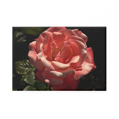 A rectangular button magnet with an image of a high contrast pink rose with deep green leaves.