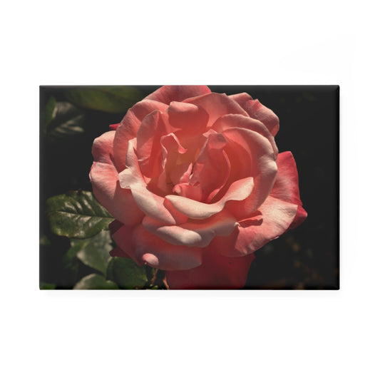 A rectangular button magnet with an image of a high contrast pink rose with deep green leaves.