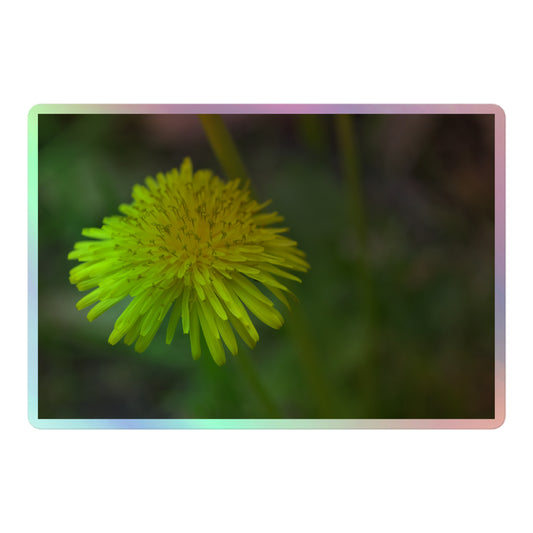 A large rectangular holographic sticker with a close-up image of a bright yellow dandelion bloom with a blurred light green background.