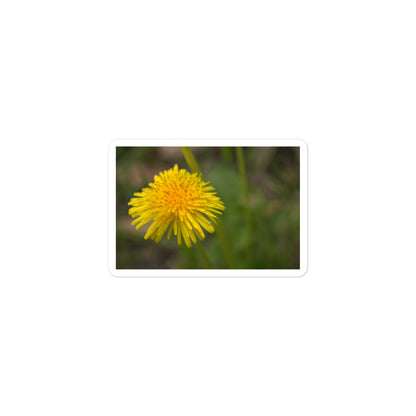 A small rectangular vinyl sticker with an image of a bright yellow dandelion bloom.