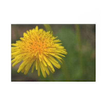 A rectangular button magnet with a close-up image of a yellow dandelion flower head.