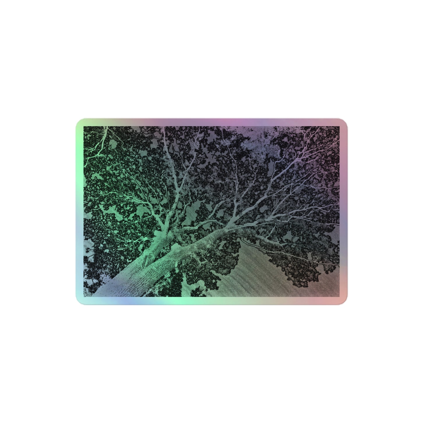 A medium rectangular holographic sticker with an image of a light embossed tree lightning design.