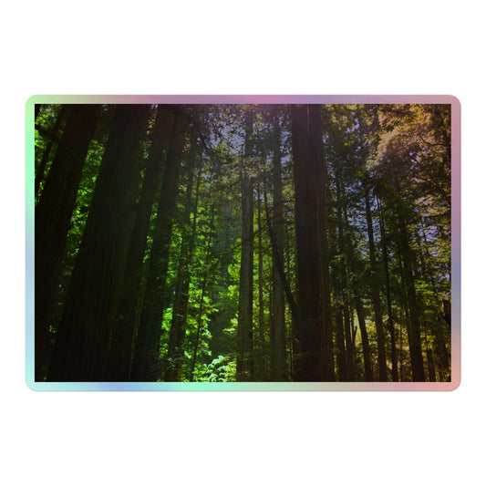 A large rectangular holographic sticker with a high-contrast image of a redwood forest with bright green leaves and blue sky in the background.