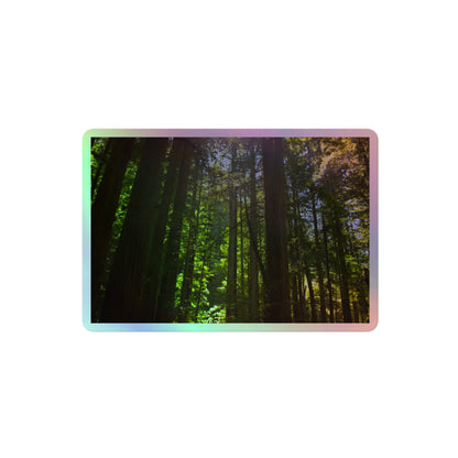 A medium rectangular holographic sticker with a high-contrast image of a redwood forest with bright green leaves and blue sky in the background.