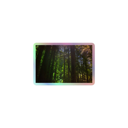 A small rectangular holographic sticker with a high-contrast image of a redwood forest with bright green leaves and blue sky in the background.