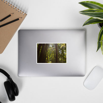 Lifestyle photo of a rectangular vinyl sticker with an image of sun shining into a redwood forest, placed on the outside of a laptop.