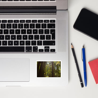 Lifestyle photo of a rectangular vinyl sticker with an image of sun shining into a redwood forest, placed on a laptop to the right of the mouse pad.