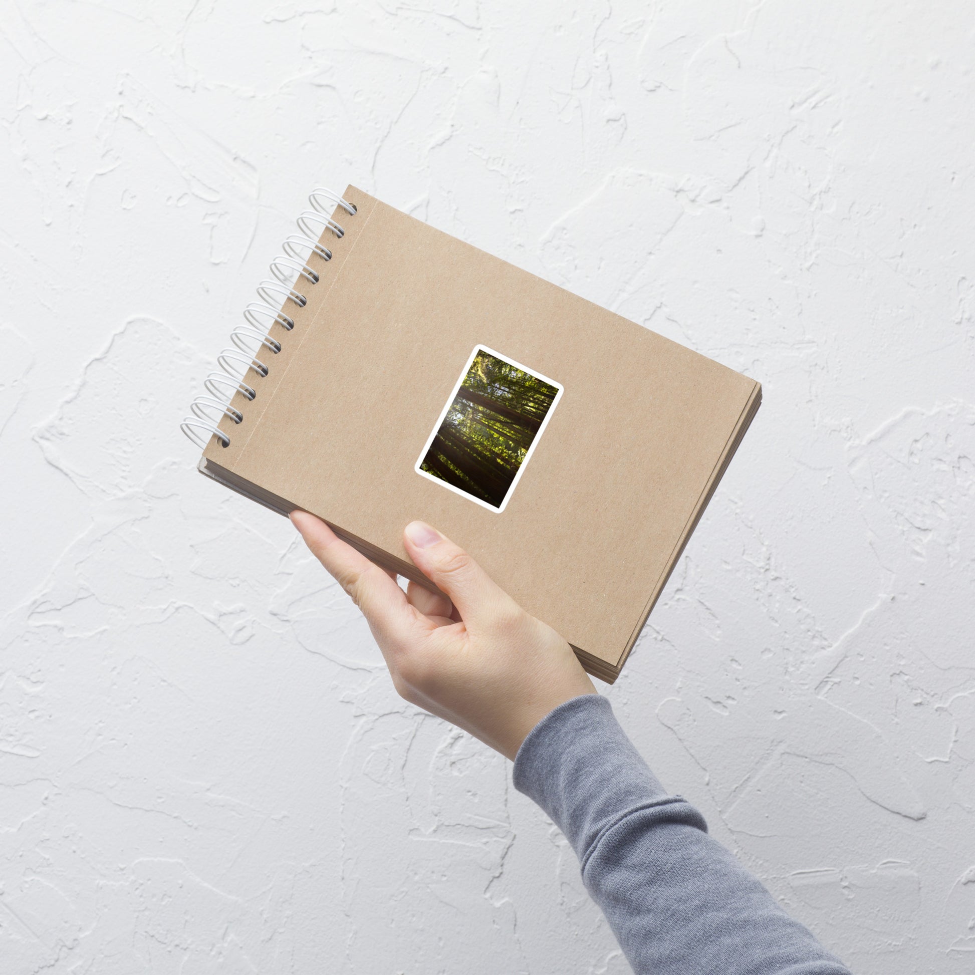 Lifestyle photo of a rectangular vinyl sticker with an image of sun shining into a redwood forest, placed on a small notepad.