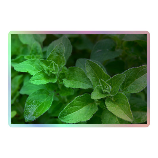 A large rectangular holographic sticker with a close-up image of vivid green oregano leaves.