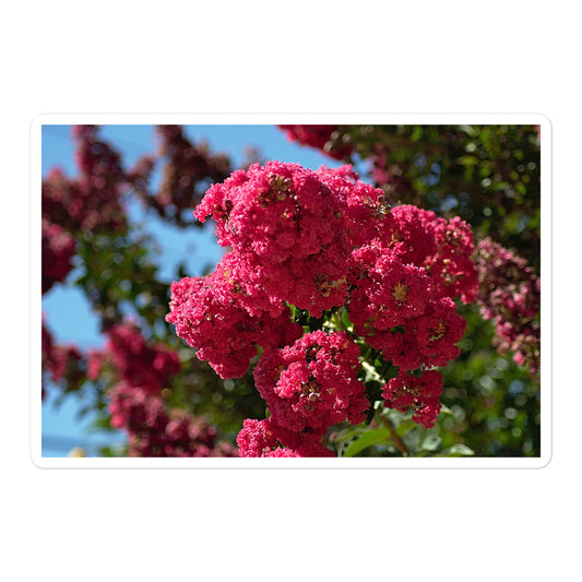 A large rectangular vinyl sticker with an image of vivid pink crape myrtle blooms.
