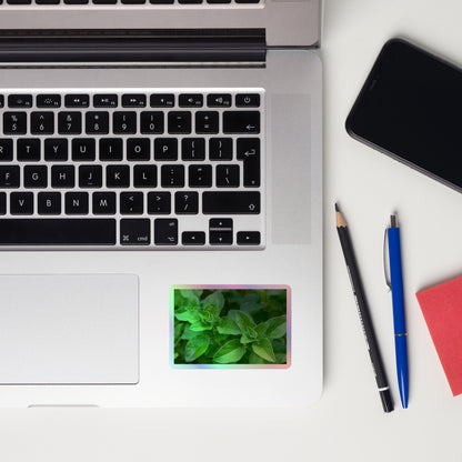 Lifestyle photo of a rectangular holographic sticker with a close-up image of vivid green oregano leaves, placed on a laptop to the right of the mouse pad.