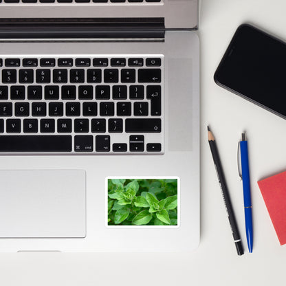 Lifestyle photo of a rectangular vinyl sticker with a close-up image of bright green oregano leaves, placed on a laptop to the right of the mouse pad.