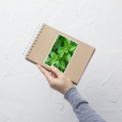 Lifestyle photo of a rectangular vinyl sticker with a close-up image of bright green oregano leaves, placed on a small notepad.