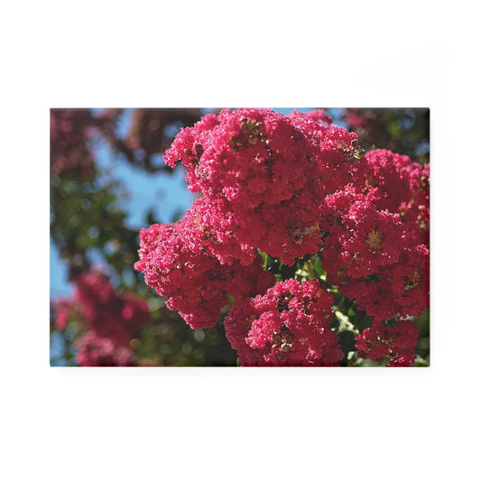 A rectangular button magnet with an image of vibrant pink Crape Myrtle flowers in full bloom with green leaves and blue sky in the background.