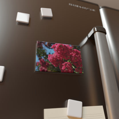Lifestyle photo of a rectangular button magnet with an image of vibrant pink Crape Myrtle flowers in full bloom with green leaves and blue sky in the background, placed on a fridge.