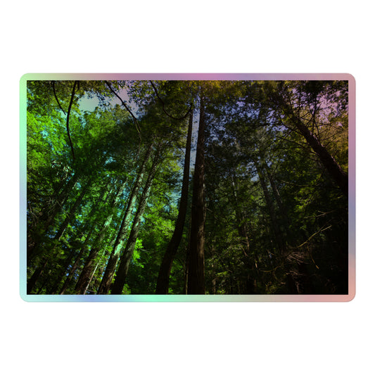 A large rectangular holographic sticker with an image looking up at a line of redwood trees with bright green leaves and reddish-brown bark.