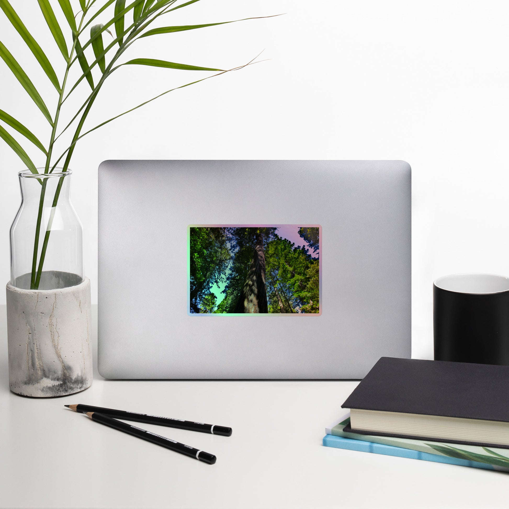 Lifestyle photo of a rectangular holographic sticker with an image looking up at a giant sequoia redwood tree, placed on a laptop with desk supplies nearby.