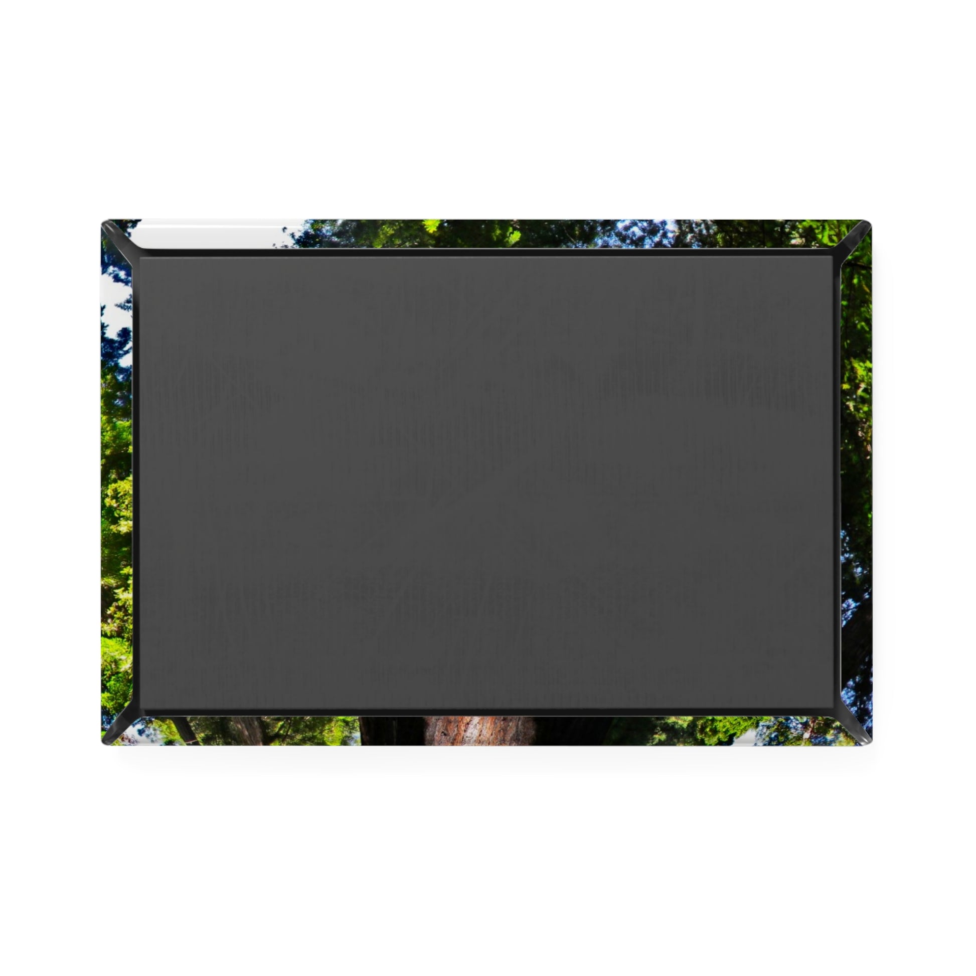 Back view of a rectangular button magnet.
