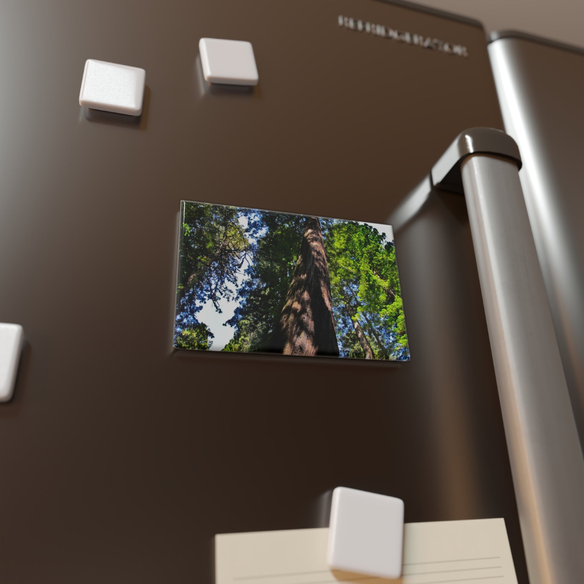 Lifestyle photo of a rectangular button magnet with an image of a Giant Sequoia tree seen from below, surrounded by lush green leaves and blue sky, placed on a fridge.