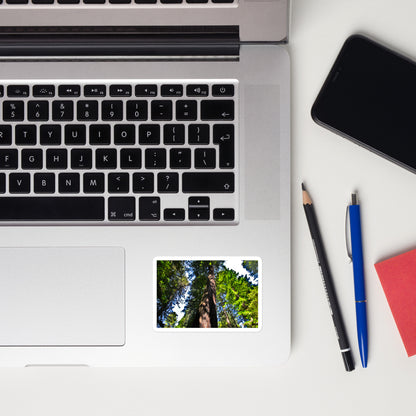 Lifestyle photo of a rectangular vinyl sticker with an image of a giant Sequoia redwood tree, placed on a laptop to the right of the mouse pad.
