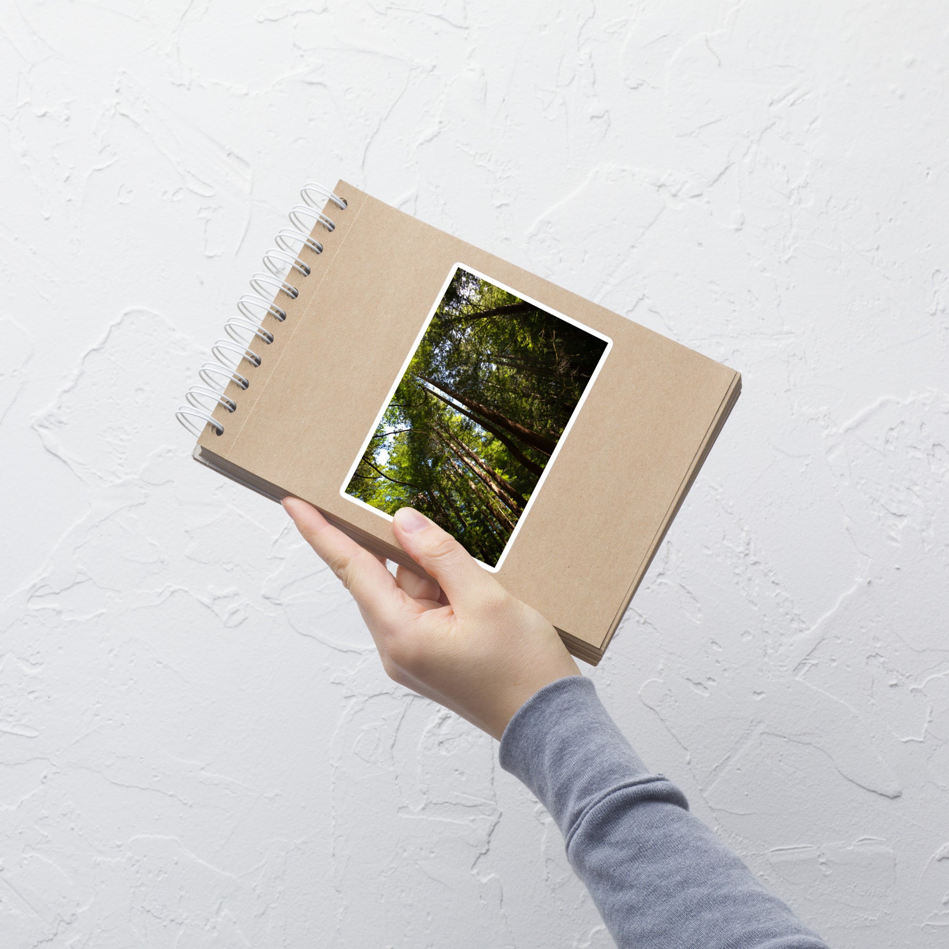 Lifestyle photo of a rectangular vinyl sticker with an image of a row of redwood trees with bright green leaves, placed on a small notepad.
