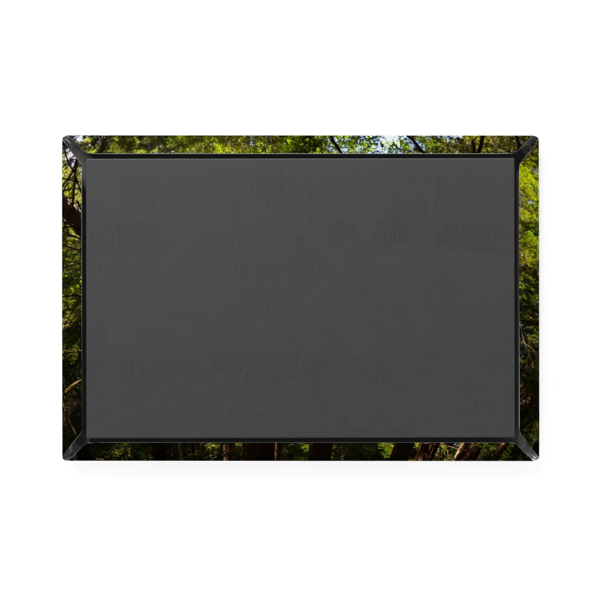 Back view of a rectangular button magnet.