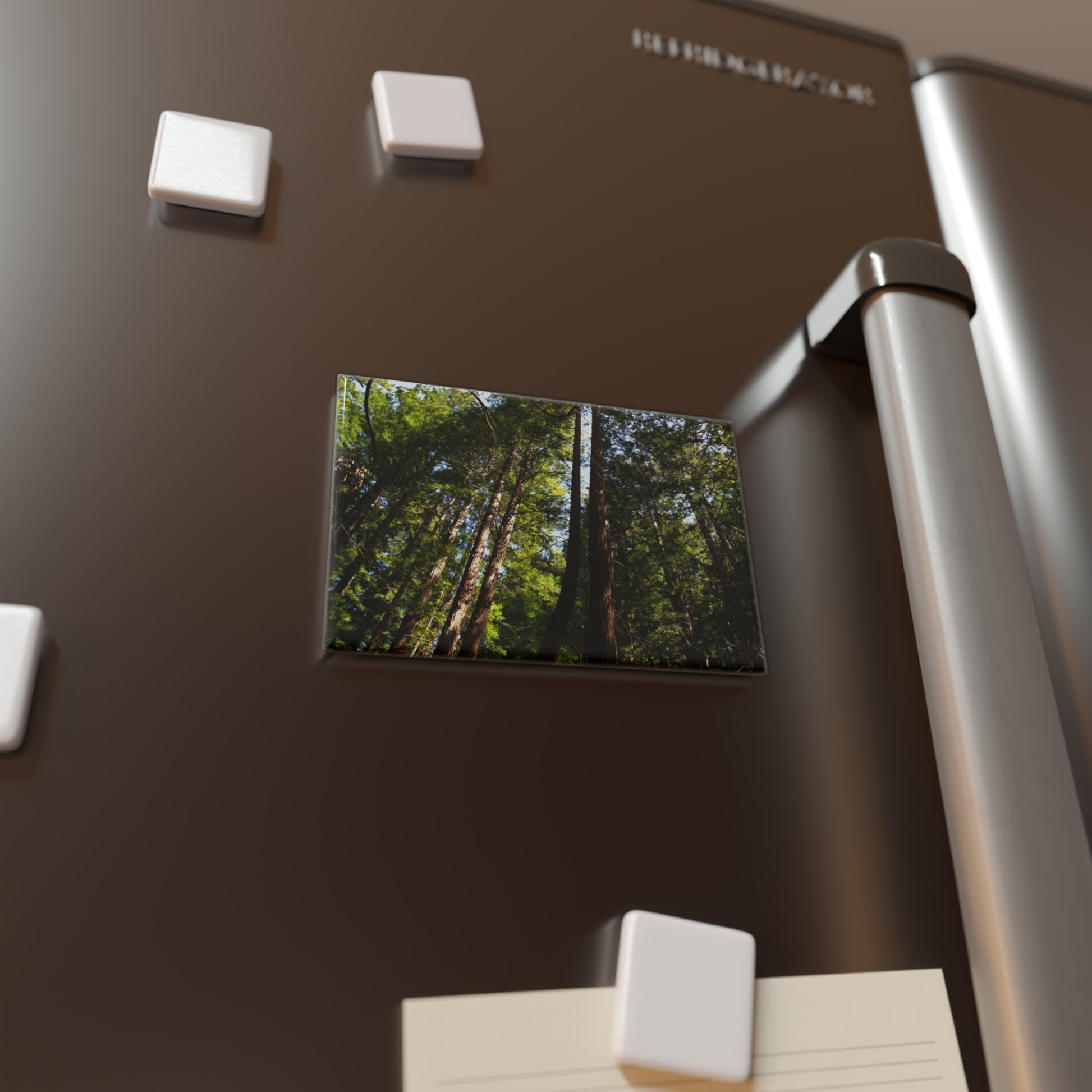 Lifestyle photo of a rectangular button magnet featuring a shot looking upwards at a sunlit redwood grove, placed on a fridge.