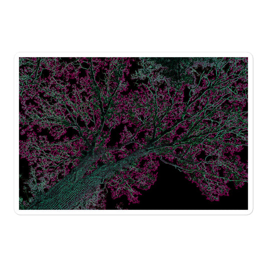 A large rectangular vinyl sticker with an image of a neon pink and turquoise tree design with lightning like features.