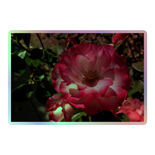 A large rectangular holographic sticker with an image of bright pink rose blooms with white centers.