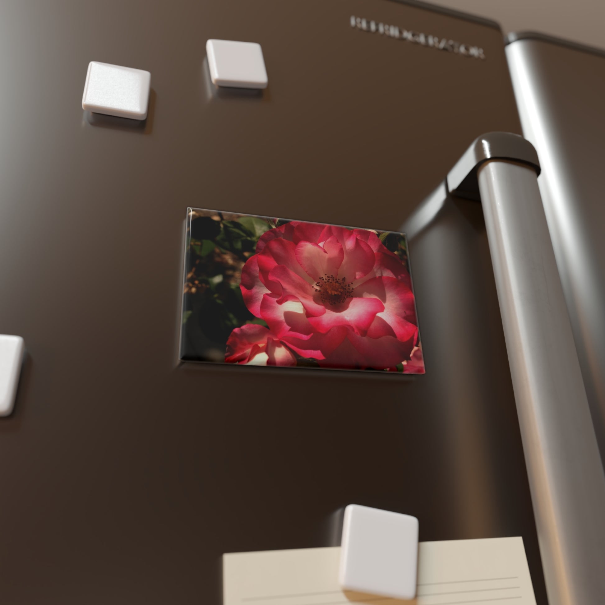 Lifestyle photo of a rectangular button magnet featuring a pastel pink rose with soft gradient petals turning to white in the center, placed on a fridge.