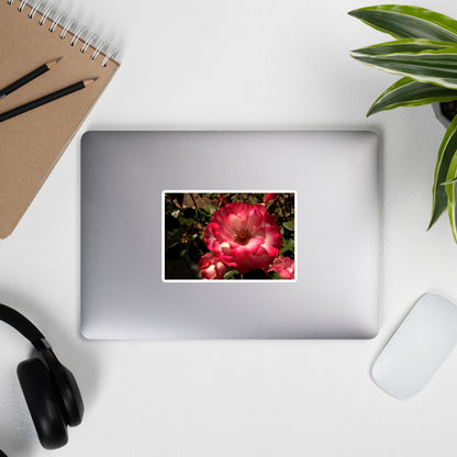 Lifestyle photo of a rectangular vinyl sticker with an image of a pink and white rose, placed on the outside of a laptop.