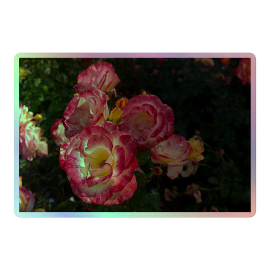 A large rectangular holographic sticker with an image of pink, yellow and white rose blooms with dark green leaves.