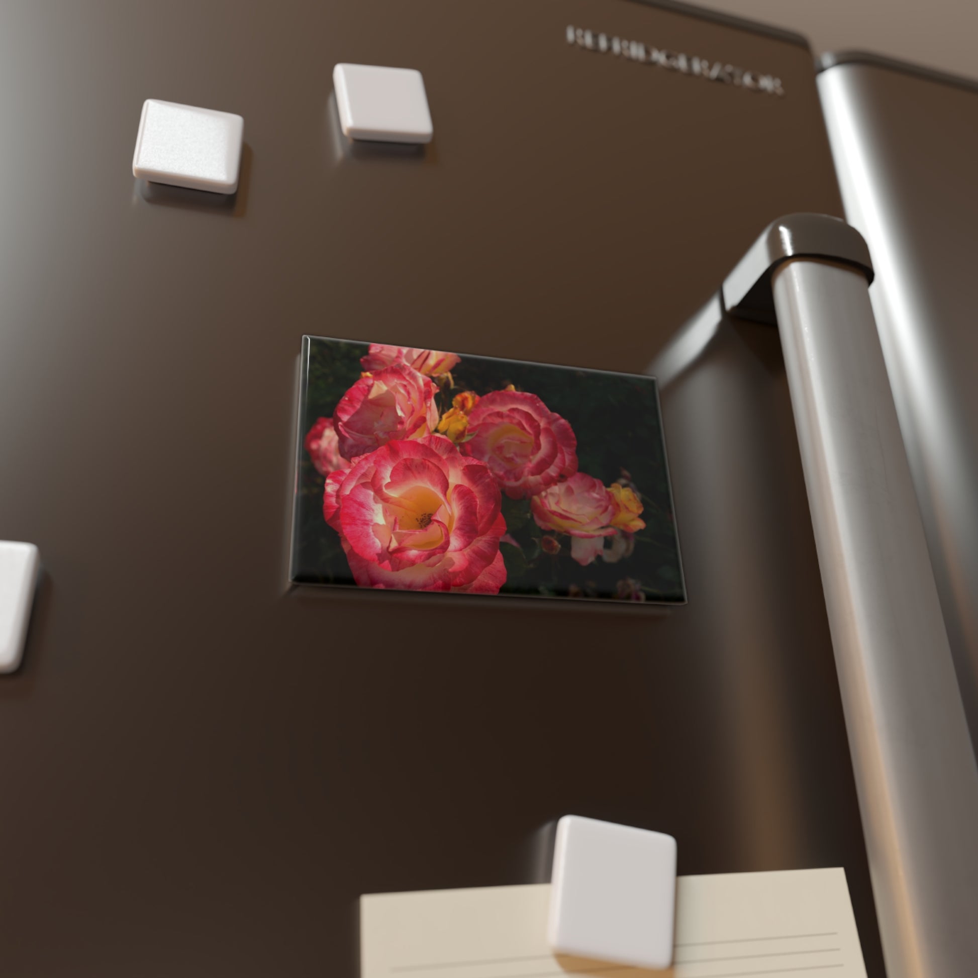 Lifestyle photo of a rectangular button magnet with an image of pink and gold blooms in a rose garden, placed on a fridge.