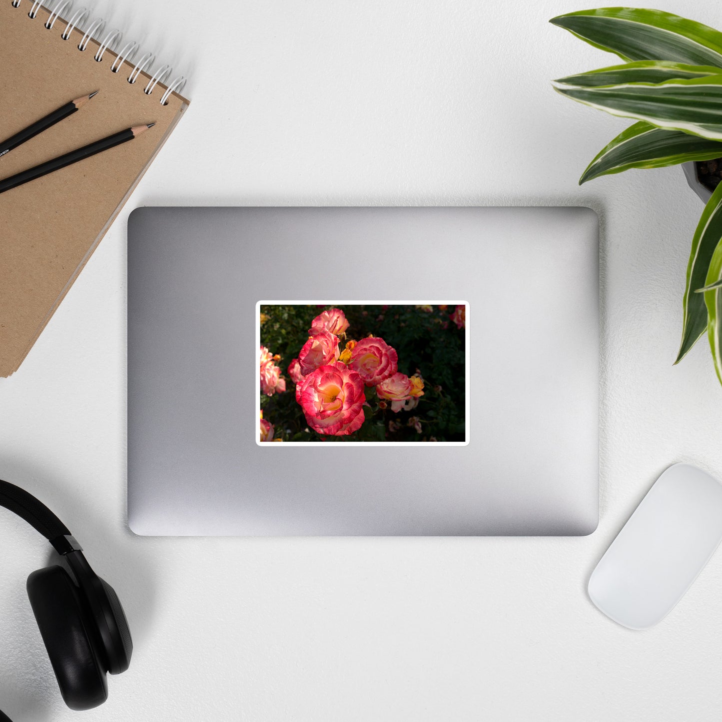 Lifestyle photo of a rectangular vinyl sticker with an image of a garden with pink, yellow, and white roses, placed on the outside of a laptop.