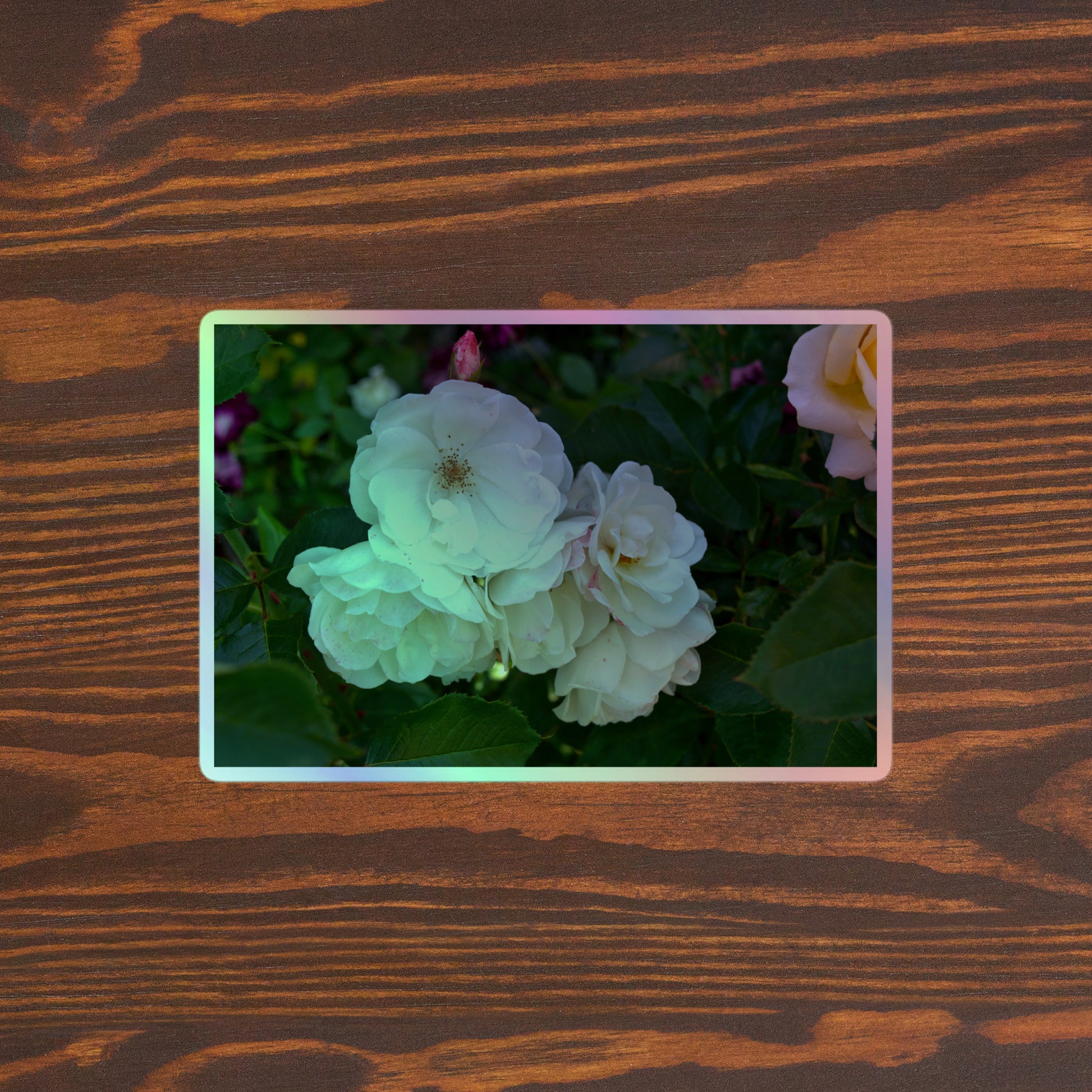 Lifestyle photo of a rectangular holographic sticker with an image of a cluster of white roses with dark green leaves, placed on a brown wooden table surface.