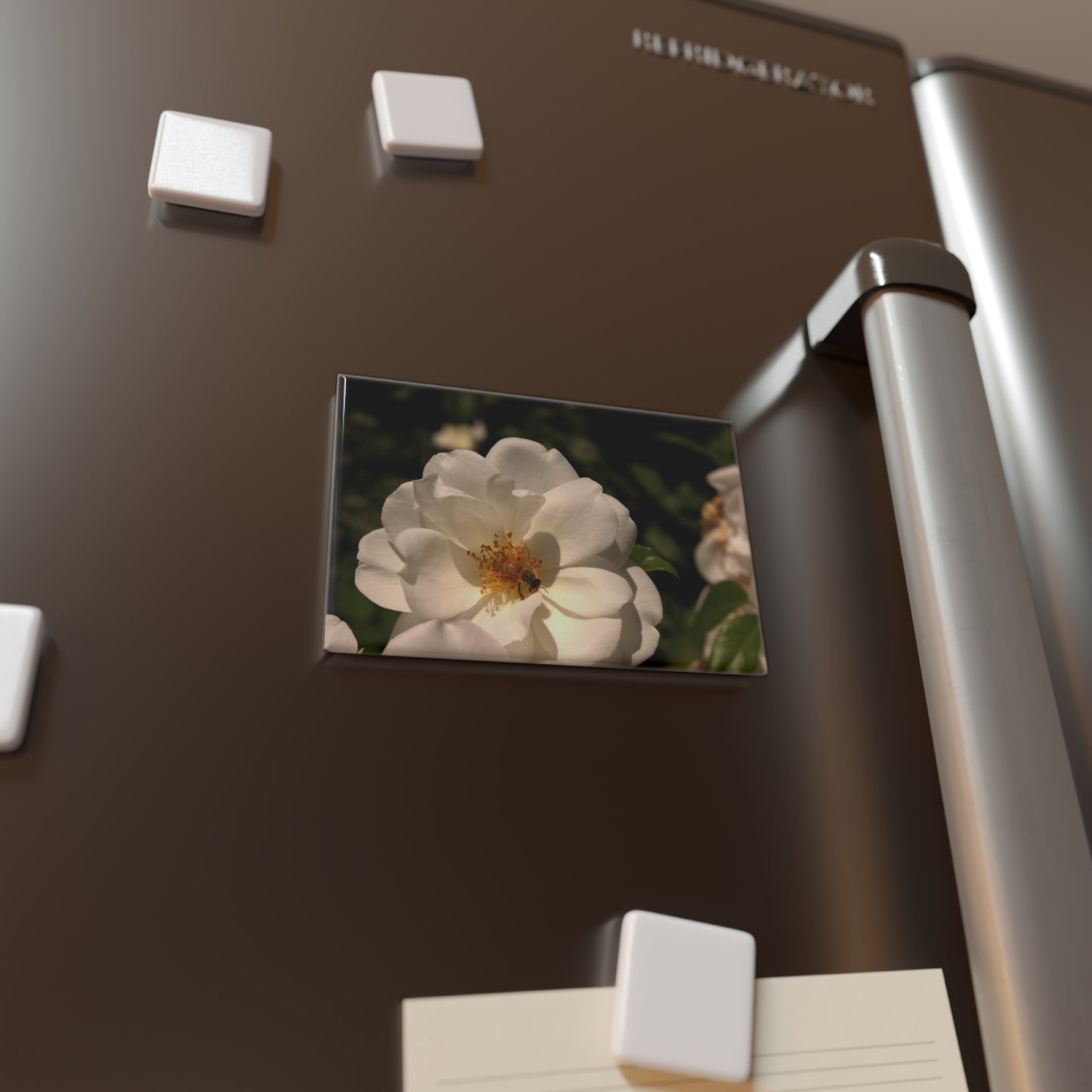 Lifestyle photo of a rectangular button magnet featuring a pure white rose with dark green leaves and a honeybee in the center, placed on a fridge.