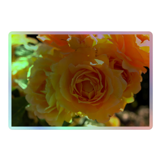 A large rectangular holographic sticker with an image of bright orange rose blooms in the sunlight.