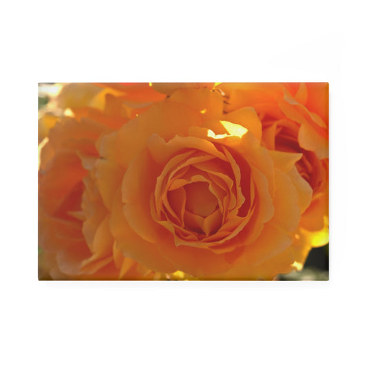A rectangular button magnet with an image of radiant orange roses bathed in sunlight.