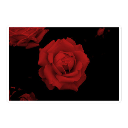 A large rectangular vinyl sticker with an image of a vivid red rose design.