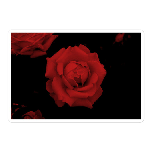 A large rectangular vinyl sticker with an image of a vivid red rose design.